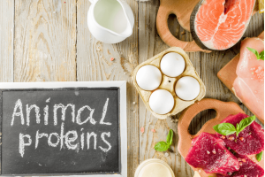 image?src=%7B%22file%22%3A%22wp content%2Fuploads%2F2021%2F10%2FProgetto senza titolo ddd