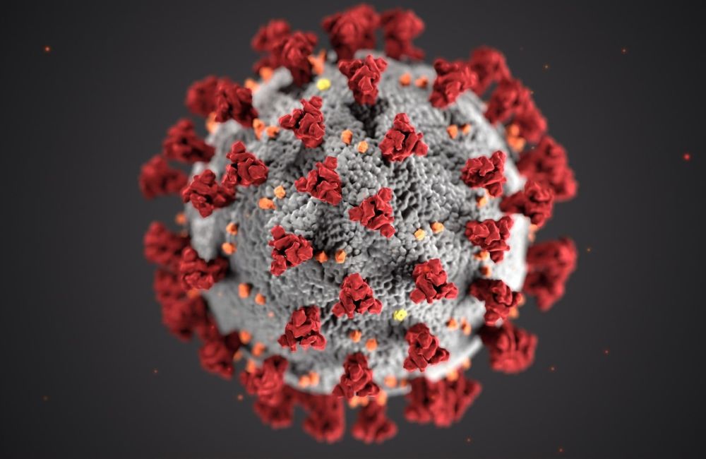 coronavirus 228c79bd
