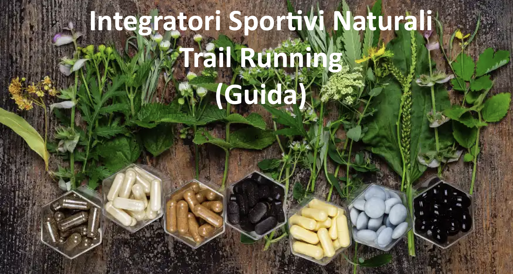 Immagine Guida Integratori EV per TRM 29485d1a