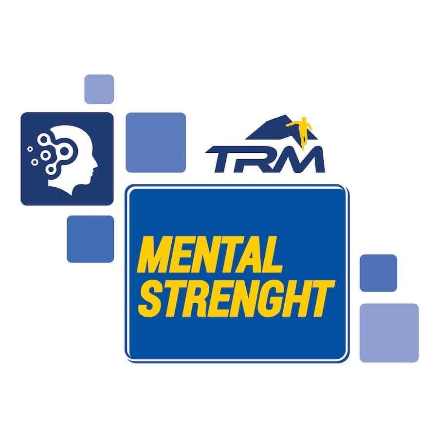 ICONE TRM x SHOP definitive 03 10 2018 Page 017 33831032