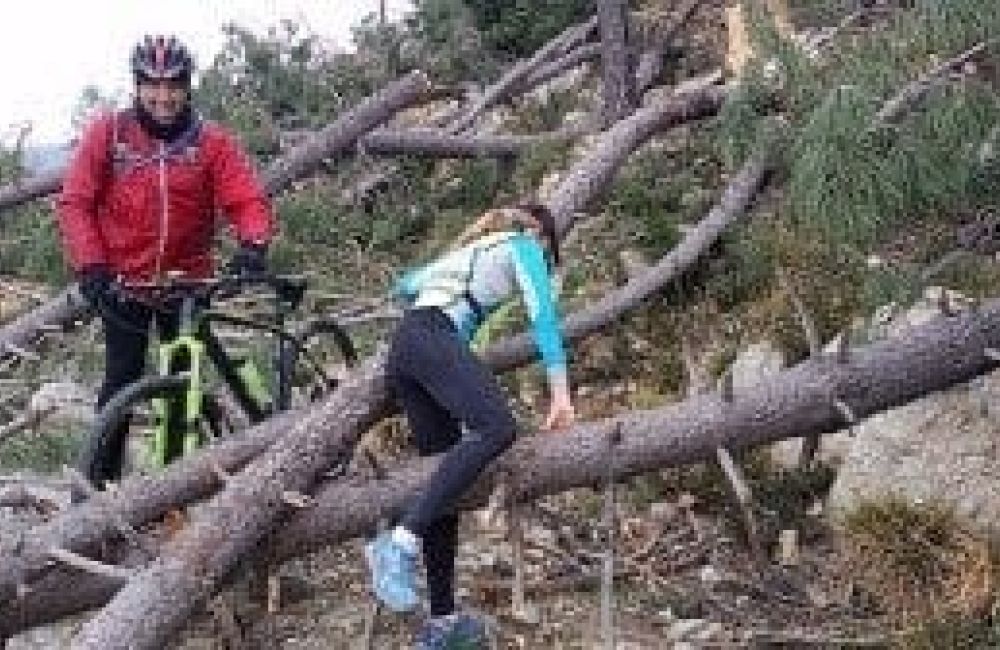 Jungle Trail Apuane 300x168 3 5a9dcaed