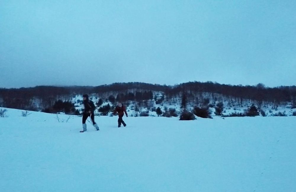 maxresdefault acaf4f3e