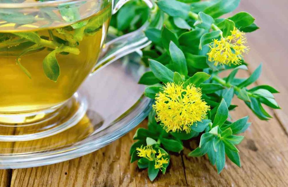 rodiola integratore b78425b2