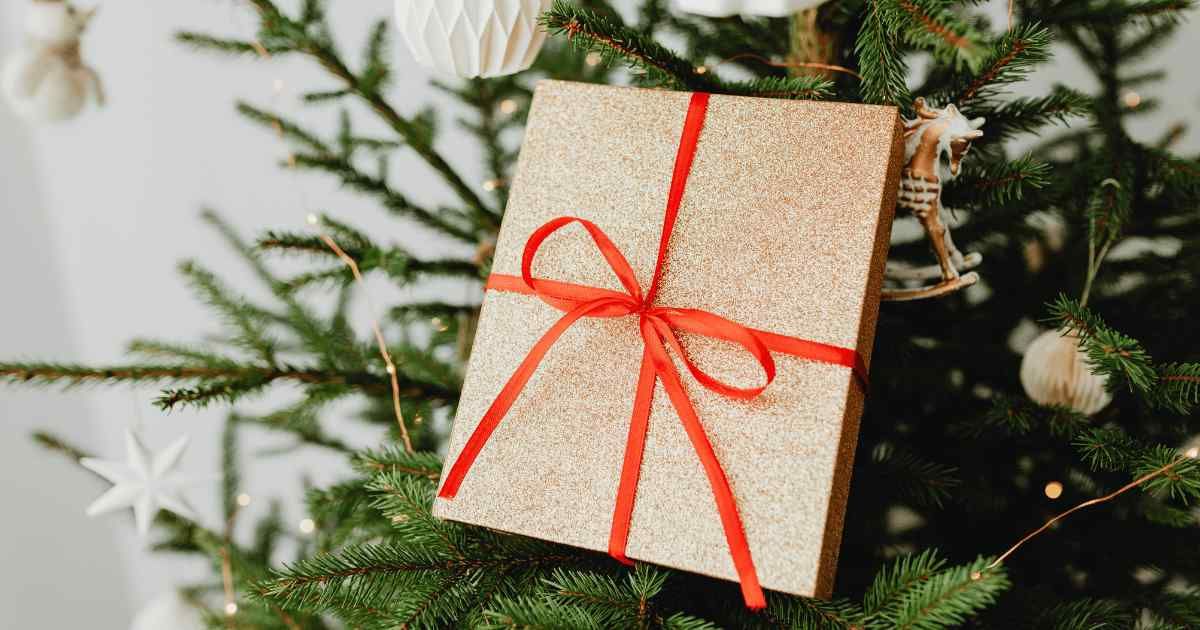 Regalo di natale per trail runner