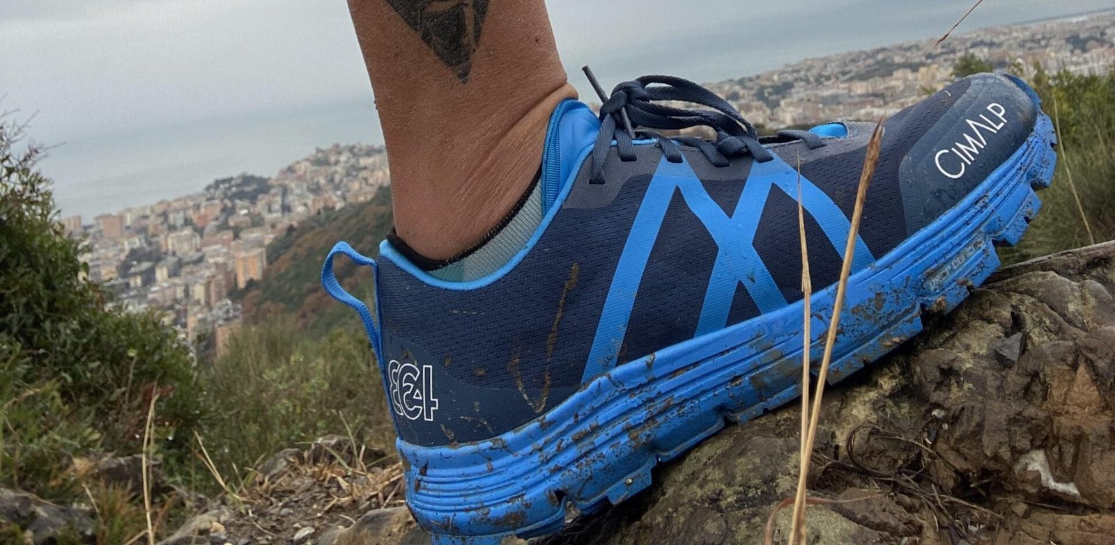 Billi scarpa MDS scaled e1776358223191