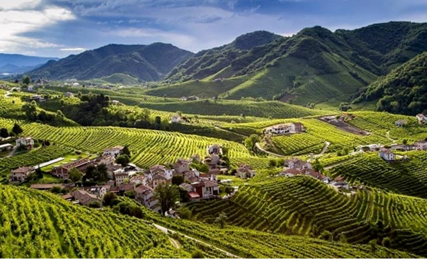 Landscape of the sparkling wine Prosecco hills of Conegliano and Valdobbiadene Grand Raid of the Treviso Alps 