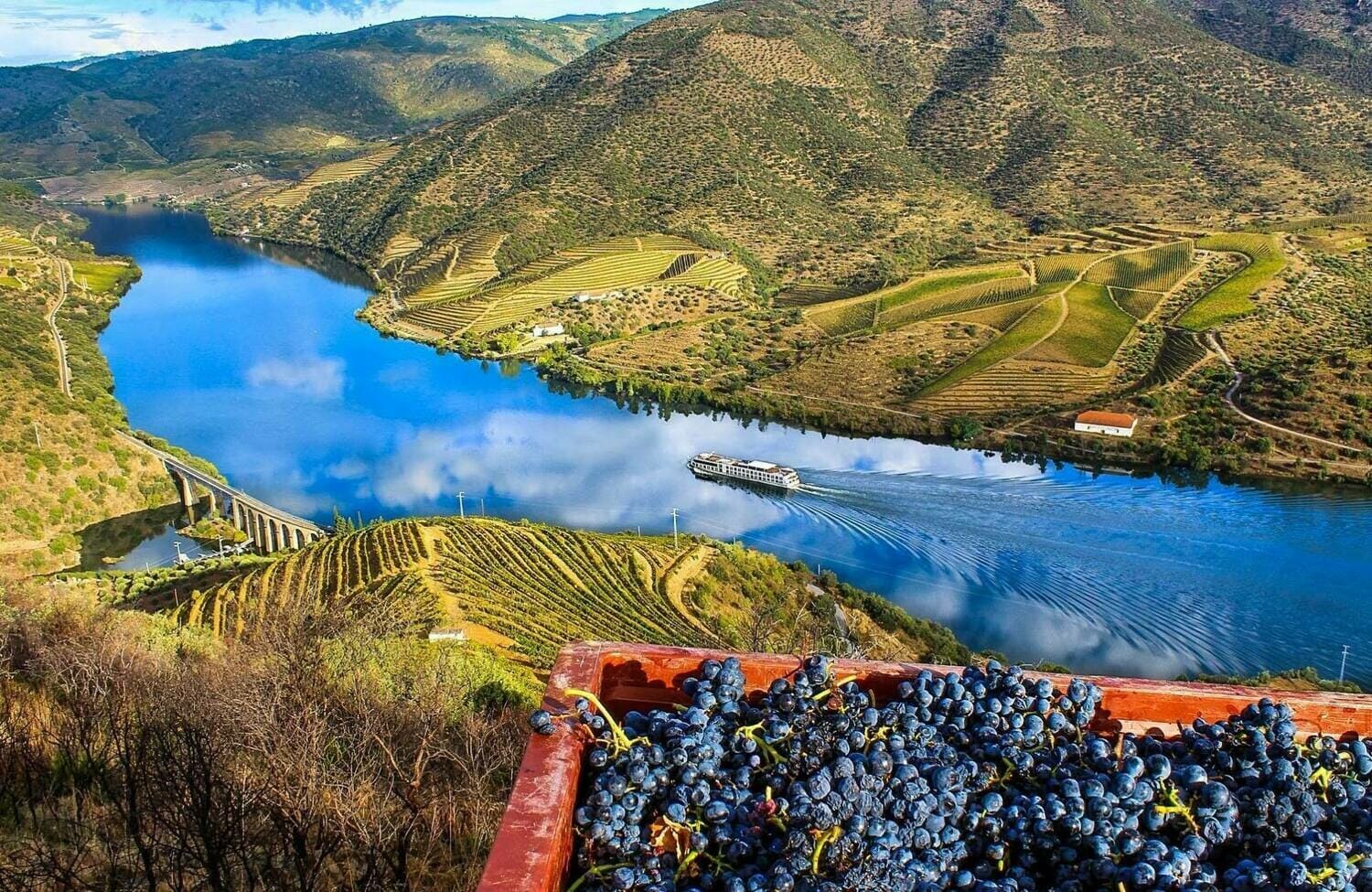 Mountain landscape with river and vineyards