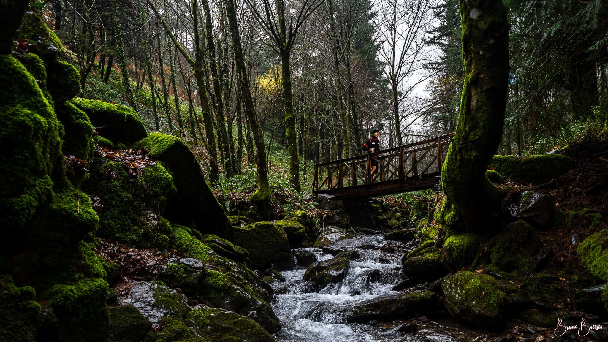 Trail runner attraversa un piccolo ponte nel bosco Sierra Marao