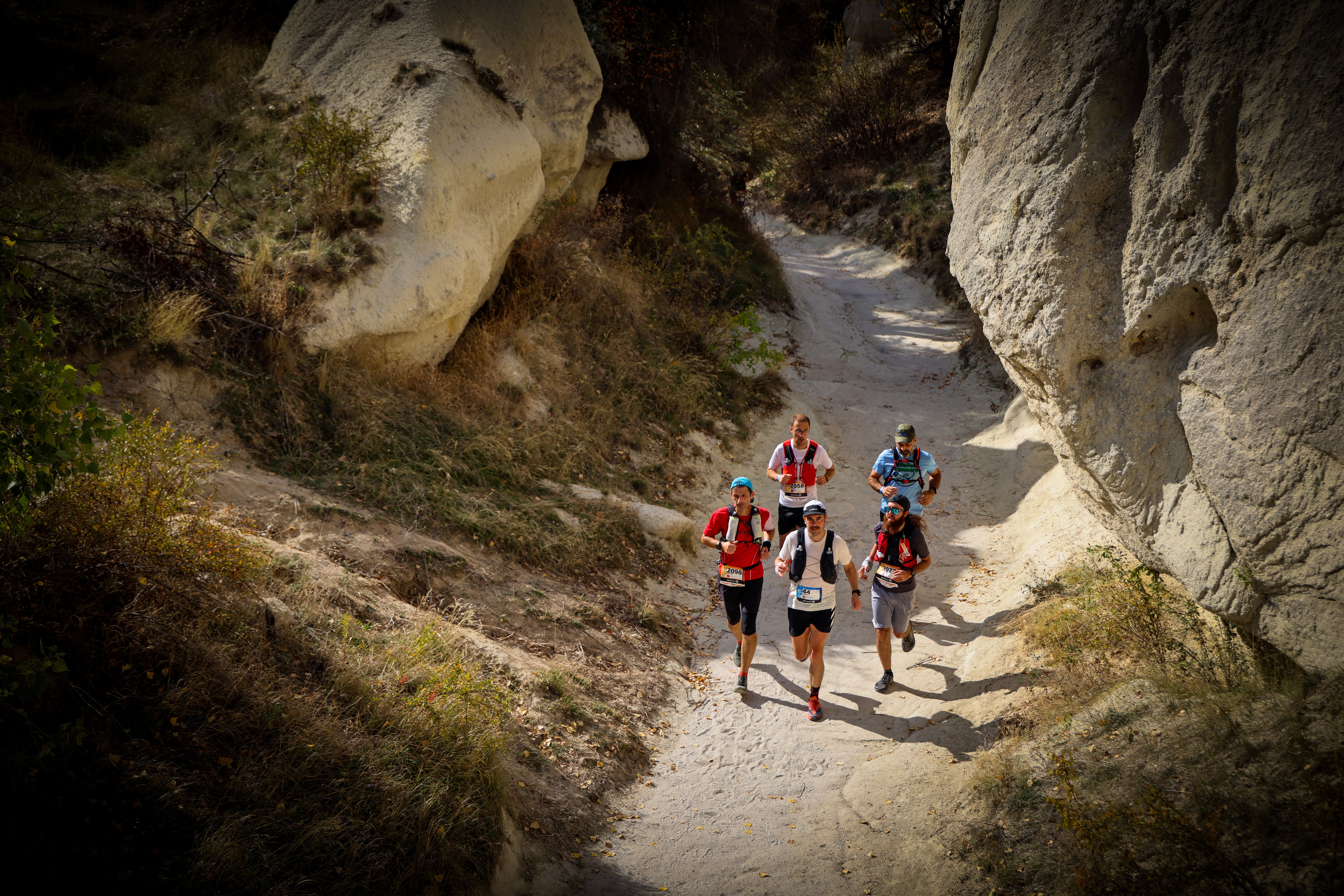 Group of trail runners are training on a long trail in order to improve their endurace