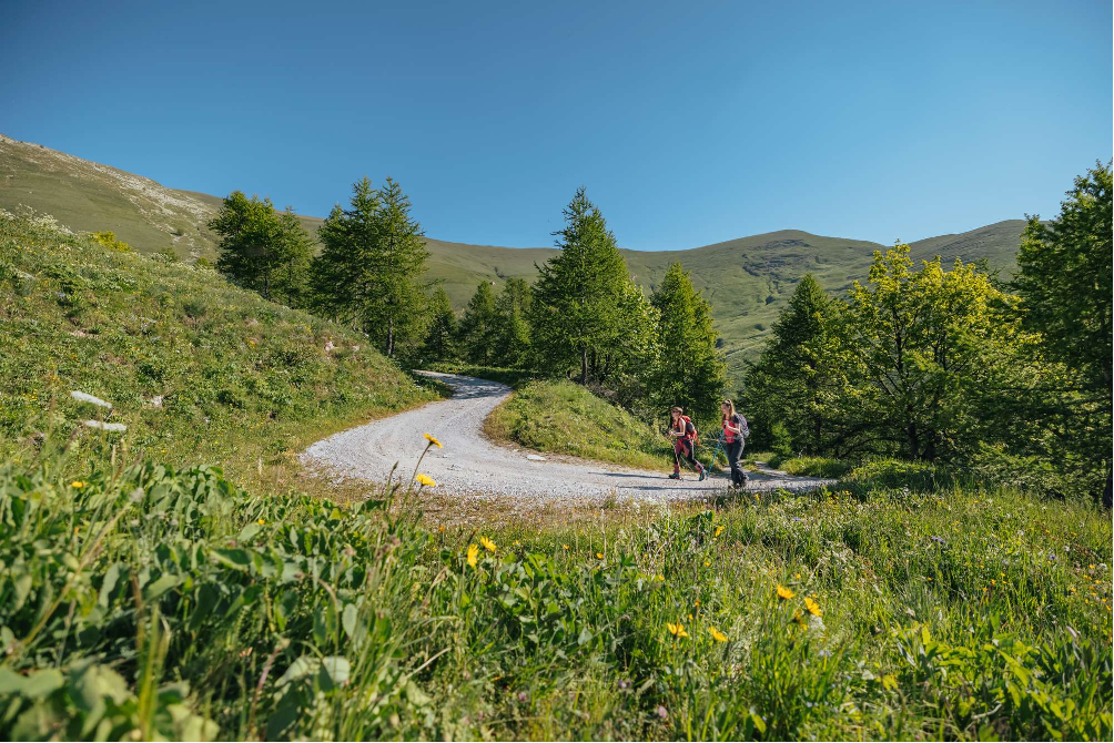 Paesaggio montano con prati con due trail runner che partecipano alla gara Maira Occitan Trail