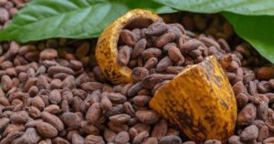 Cacao integratore per trail running