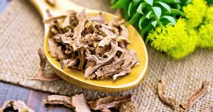 Fonti naturali di rodiola nel trail running