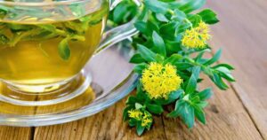 Rodiola e trail running: energia, adattamento e focus mentale 15 Rodiola e trail running: energia, adattamento e focus mentale Rodiola integratore per trail running