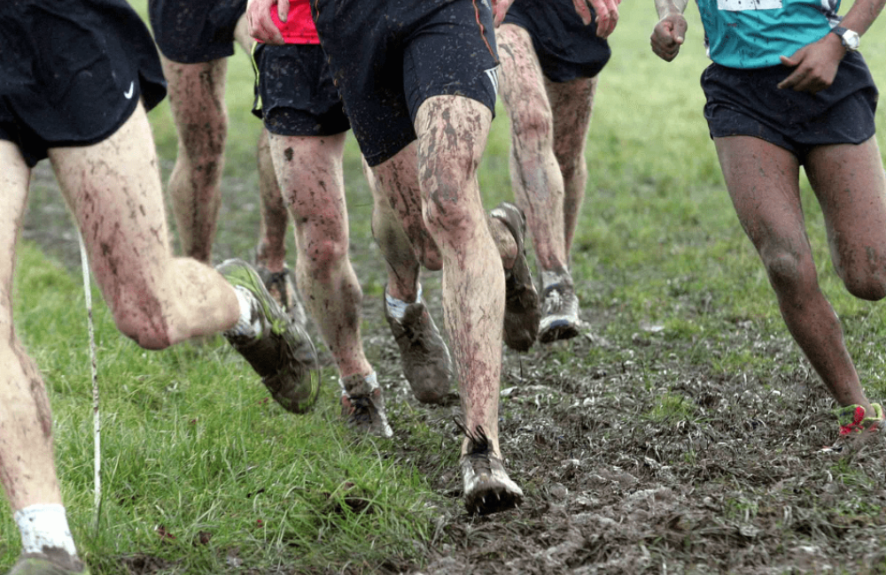 Cross Country ccb8ba51