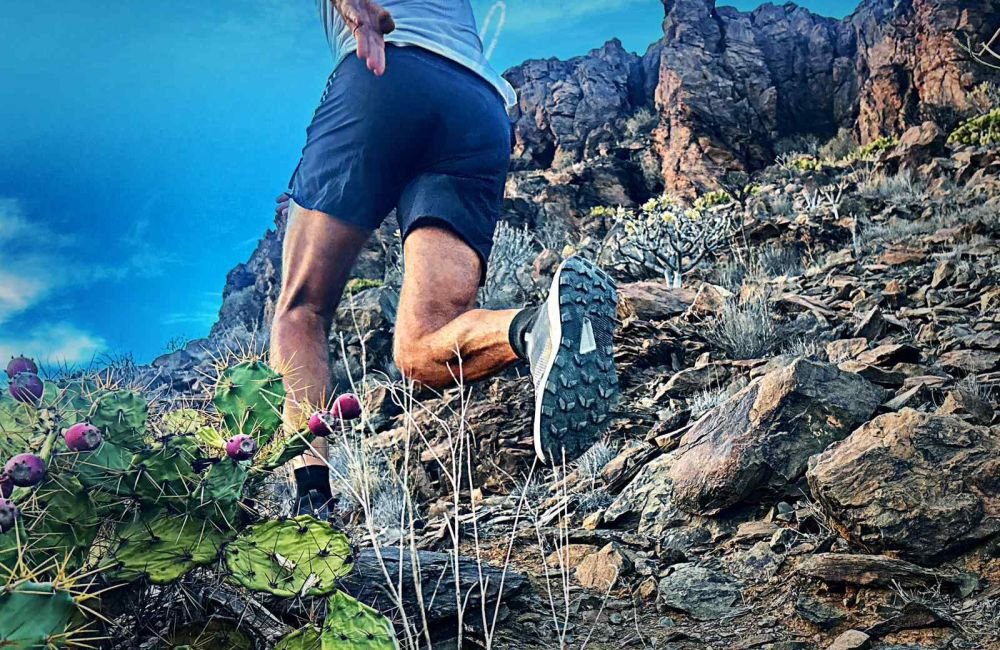 abbigliamento trail running estivo scarpa kiprun ce848519